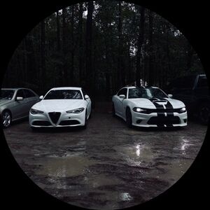 Meet your Posher, Maddox